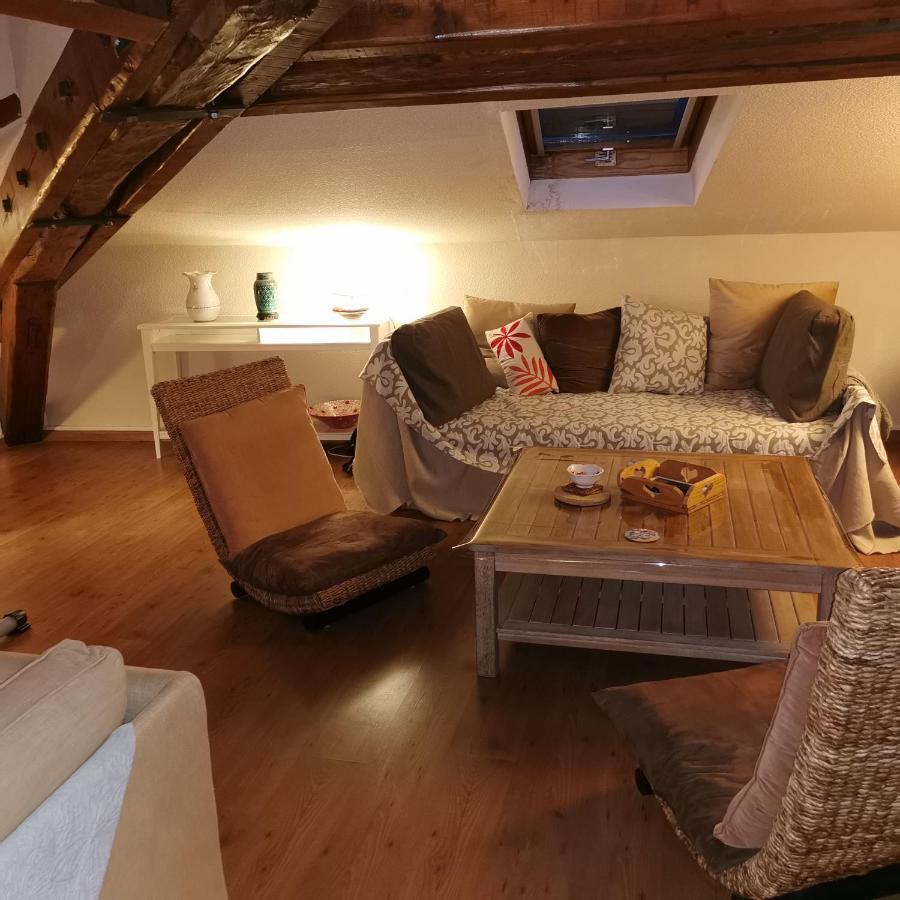 Cosy And Calm In Grenoble City Heart With Free And Large Parking Q-Park Chavant Exteriör bild